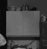 每日GIF(2021-11-25)的gif-Mr Bean Turkey GIF