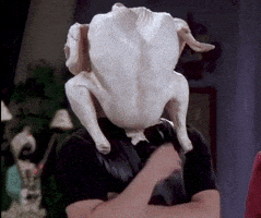 每日GIF(2021-11-25)的gif-Season 5 Thinking GIF by Friends