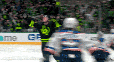 每日GIF(2021-11-28)的gif-Happy Dallas Stars GIF by NHL