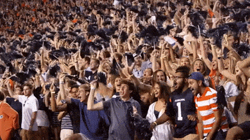 每日GIF(2021-11-28)的gif-Lets Go Football GIF by ESPN