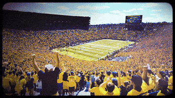 每日GIF(2021-11-28)的gif-Go Blue College Football GIF by Michigan Athletics