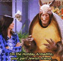 每日GIF(2021-11-29)的gif-jewish hanukkah GIF