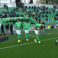 每日GIF(2021-12-01)的gif-Football Futbol GIF by AS Saint-Étienne