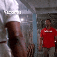 每日GIF(2021-12-02)的gif-Stay Home South Africa GIF by INTO ACTION