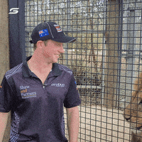 每日GIF(2021-12-03)的gif-Scared Will Brown GIF by Supercars Championship