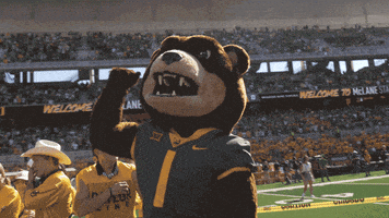 每日GIF(2021-12-05)的gif-Baylor Bears Bu GIF by Baylor Athletics