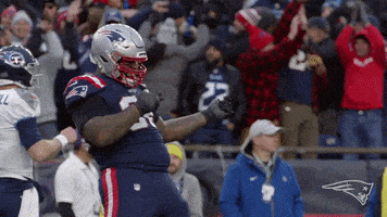 每日GIF(2021-12-07)的gif-Football Nfl GIF by New England Patriots