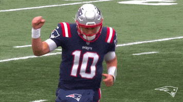 每日GIF(2021-12-07)的gif-Happy Lets Go GIF by New England Patriots