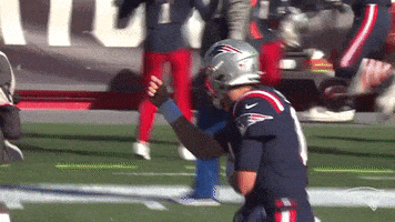 每日GIF(2021-12-07)的gif-Football Reaction GIF by New England Patriots