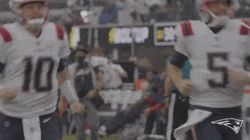 每日GIF(2021-12-07)的gif-Lets Go Reaction GIF by New England Patriots