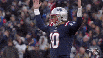 每日GIF(2021-12-07)的gif-Happy Its Good GIF by New England Patriots