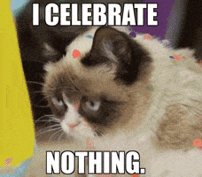 每日GIF(2021-12-08)的gif-Happy Birthday GIF by Internet Cat Video Festival