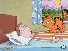 每日GIF(2021-12-08)的gif-Good Morning Dancing GIF by Boomerang Official