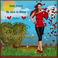 每日GIF(2021-12-08)的gif-Tuesday Morning Shine GIF