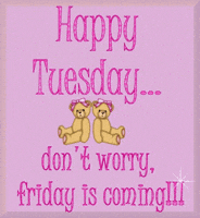 每日GIF(2021-12-08)的gif-Tuesday Morning GIF