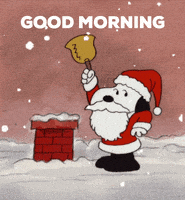每日GIF(2021-12-08)的gif-Good Morning Happy Tuesday GIF by reactionseditor