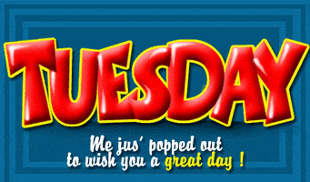每日GIF(2021-12-08)的gif-Tuesday Wtf GIF