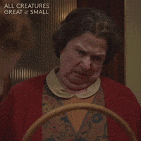 每日GIF(2021-12-08)的gif-I Hate You Reaction GIF by All Creatures Great And Small