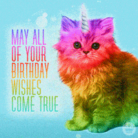 每日GIF(2021-12-08)的gif-Happy Birthday Cat GIF by Hallmark Gold Crown