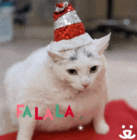 每日GIF(2021-12-09)的gif-Save Them All Big Cat GIF by Best Friends Animal Society