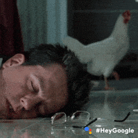 每日GIF(2021-12-10)的gif-Confused What Happened GIF by Google
