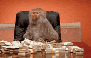 每日GIF(2021-12-11)的gif-Pay Day Money GIF