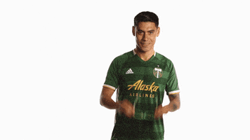 每日GIF(2021-12-12)的gif-Portland Timbers GIF by Timbers
