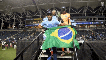 每日GIF(2021-12-12)的gif-Major League Soccer Sport GIF by NYCFC