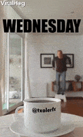 每日GIF(2021-12-16)的gif-Wednesday Morning GIF by ViralHog
