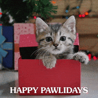 每日GIF(2021-12-16)的gif-Dog Food Christmas GIF by Taste of the Wild