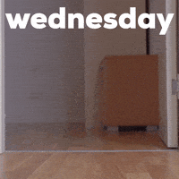 每日GIF(2021-12-16)的gif-Wednesday Morning Dog GIF by GIPHY Studios Originals