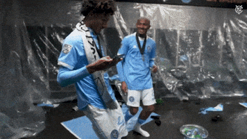 每日GIF(2021-12-19)的gif-Happy Mls Cup GIF by NYCFC