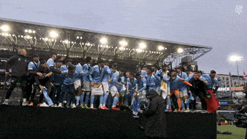 每日GIF(2021-12-19)的gif-Happy Mls Cup GIF by NYCFC