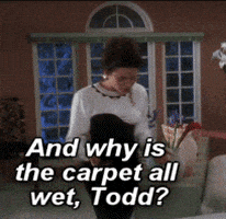 每日GIF(2021-12-19)的gif-christmas vacation GIF