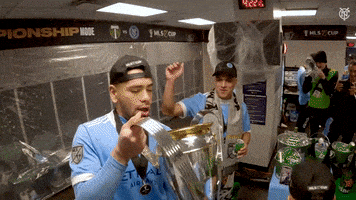 每日GIF(2021-12-19)的gif-Happy Mls Cup GIF by NYCFC