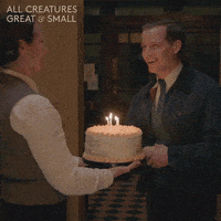 每日GIF(2021-12-19)的gif-Party Birthday GIF by All Creatures Great And Small
