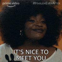 每日GIF(2021-12-20)的gif-Its Nice To Meet You Hello GIF by Harlem
