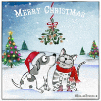 每日GIF(2021-12-21)的gif-Merry Christmas Love GIF by Red & Howling