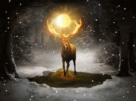 每日GIF(2021-12-22)的gif-Winter Solstice Summer GIF by DP Animation Maker
