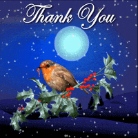 每日GIF(2021-12-23)的gif-Thanks Thank You All GIF
