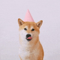 每日GIF(2021-12-23)的gif-Happy Birthday Dog GIF by Vinícius Marconato