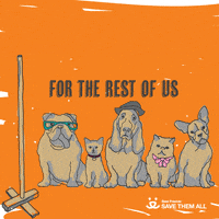每日GIF(2021-12-24)的gif-Happy Seasons Greetings GIF by Best Friends Animal Society