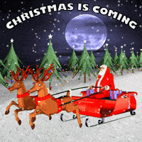 每日GIF(2021-12-25)的gif-Christmas Tree GIF