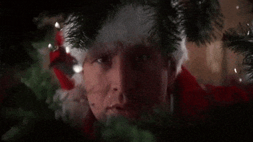 每日GIF(2021-12-25)的gif-Christmas Vacation GIF by filmeditor