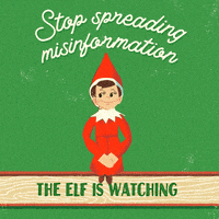 每日GIF(2021-12-26)的gif-Happy On The Shelf GIF by INTO ACTION