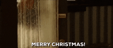 每日GIF(2021-12-26)的gif-Merry Christmas GIF by filmeditor