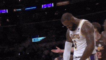 每日GIF(2021-12-29)的gif-Lebron James Shrug GIF by NBA