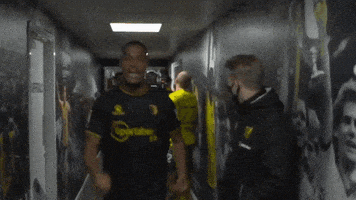 每日GIF(2021-12-29)的gif-Excited Watford Fc GIF by Watford Football Club