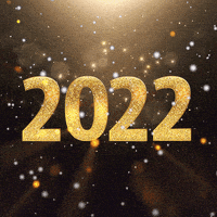 每日GIF(2021-12-30)的gif-Happy New Year GIF