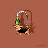 每日GIF(2022-01-01)的gif-celebrate kim kardashian GIF by Stefanie Shank
